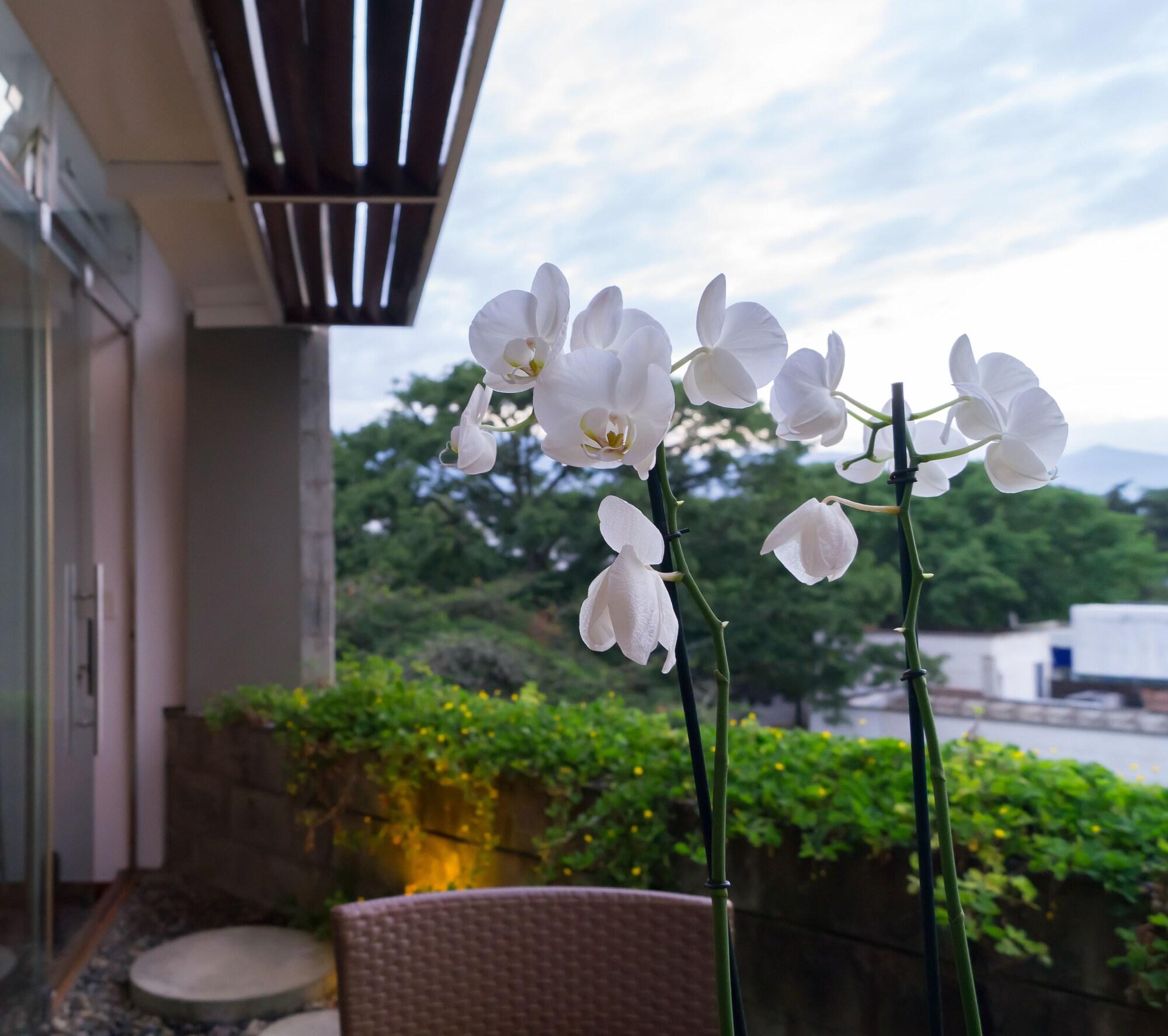 Acquasanta Lofts Hotel กาลี ภายนอก รูปภาพ